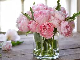 What flowers look best with peonies. Pin On Flowering Plants