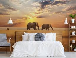 Page 52 for sunset wallpapers in ultra hd or 4k. Safari Wallpaper To Bring Out Your Wild Side Wallsauce Us