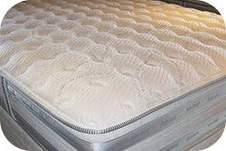 We will send you our mattress buyers shop with care guide and checklist and keep you informed of special promotions, and sales on serta® products. Serta Iseries Mcallen Mattresses