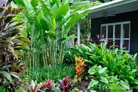Tabu Tropical Paradise In Cairns Queensland Tropical Landscaping Tropical Garden Tropical Garden Design