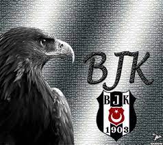 Kartalı bulan beşiktaş taraftarı turgut üçpınar, tuttuğu takımın sembolü olması nedeniyle yaralı kartalı beslemek istediğini söyledi. Besiktask Siyahin Gucu Resimler Resim