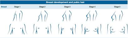 Maybe you would like to learn more about one of these? When Do Girls Stop Growing Curehows