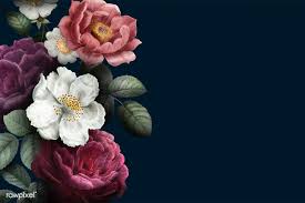 Black Background With Rose Border Beautiful Hand Drawn Rose Themed Border Vector Free Image By Rawpixel Com Flower Background Wallpaper Roses Drawing How To Draw Hands