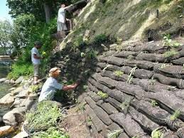 Slope Stability And Vegetative Soil Stabilization Lake Landscaping Rock Wall Landscape Landscape Design