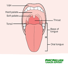 You're at greatest risk if you smoke at least a pack a day for 10 years. Macmillan Cancer Support Mouth Cancer Also Known As Oral Cancer Is One Of The Most Common Types Of Head And Neck Cancer It Can Start In Any Part Of The Mouth