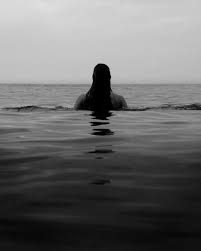 Background with roses in black and white. 20 000 Best Black And White Landscape Photos 100 Free Download Pexels Stock Photos