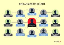 16 Detailed Fillable Organizational Chart Template