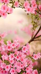 Check spelling or type a new query. Color De Mujer Fondos De Pantalla Facebook
