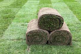 Maybe you would like to learn more about one of these? 2021 Zoysia Sod Cost Zoysia Grass Sod Prices
