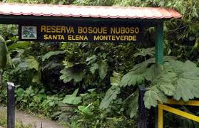 Check spelling or type a new query. Fotos Bilder Santa Elena Nationalpark Nebelwald Reservat Costa Rica Zentralamerika
