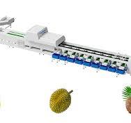 Fruit And Vegetables Sorting System | Vision Inspection ...