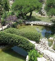 The 10 Best Things To Do Near San Antonio Botanical Garden Tripadvisor
