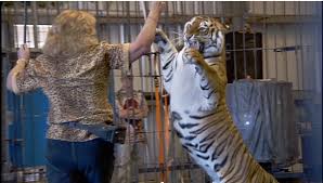 Sierra gonzalez, courtney keedy, and kellye smith. Big Cat Habitat Gulf Coast Sanctuary Kay Rosaire Clayton Rosaire 911 Animal Abuse