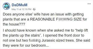 Every parent can so relate to this rant about how complicated things are nowadays! Man Rants About His Wife S Obsession With Jurassic Sized Plants Inside Their House Barnorama