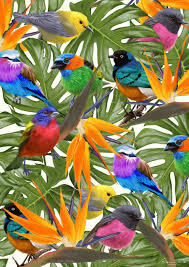 Tropical Birds Of Paradise Wallpaper Geometric Birds Drawn With An Ipad Pinturas Ilustraciones Macetas Pintadas