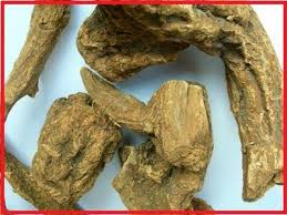مدونة غرغور 2016 فوائد القسط الهندي بالصور لجميع الامراض طرق مجربة وعجيبة جدا Meat Jerky Health Food Body Care