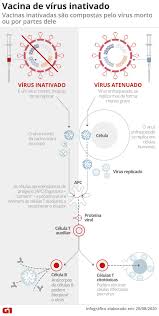 A firjan sesi considera a vacinação uma importante estratégia de saúde, que preserva o trabalhador e colabora com a prevenção do absenteísmo nas empresas, cumprindo o. Gripe Campanha De Vacinacao No Df Comeca Em 12 De Abril Veja Quem Pode Receber Doses Distrito Federal G1