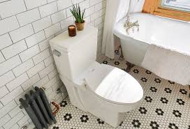 pros and cons of wall mounted toilets