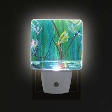 Top Eco Friendly Power Saving Night Lights