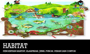 Pengertian Habitat Klasifikasi Jenis Fungsi Peran Contoh