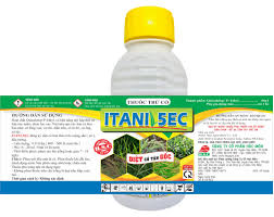 Itani 5EC