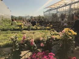 Our greenhouse and garden center is filled with a wide selection of outdoor plants. Greenhouse Garden Center Bild Von Greenhouse Garden Center Pistoia Tripadvisor