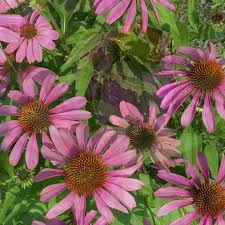 I Design Floral Events LLC