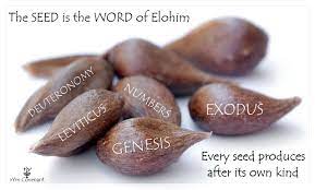 Abba S Word Seed Will Not Return Unto Him Void S Word Seeds Abba