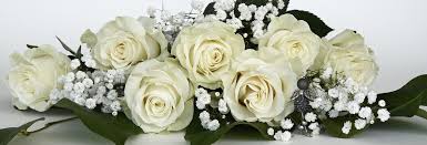 Today, we are doing freeze dried garlic that was grown in the garden, also trying freeze dried. Diy Wedding Flowers The Definitive Guide All Things Flowers Blog By Sydney Florists Flowers Across Sydney