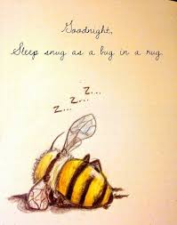 So Glad Bugs Can Be Snug In A Rug Bee Quotes Bee Art Bee