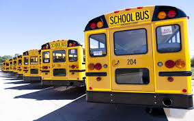 Image result for School Bus Yellow 2019 Transit