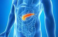 What is Pancreatitis – Pancreatic Cancer Action Network