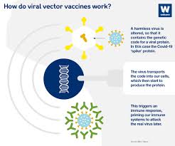 The benefits of vaxzevria outweigh its risks in adults of all age groups; How Do The Pfizer And Oxford Vaccines Fight Covid 19 World Economic Forum