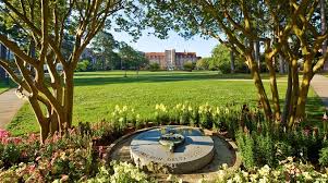 Public and private universities as well as foreign branch campuses offer bachelor's degree courses in malaysia. Combined Bachelor S Master S Pathways The Graduate School