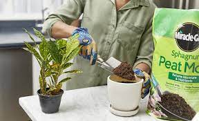 Find a plant to fit your life. Best Potting Soil For Your Plants The Home Depot