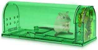 New Humane Mouse Trap Mouse Traps Mouse Trap Diy Mouse Trap Game