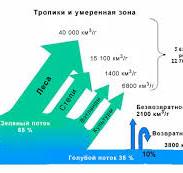 Управление водными ресурсами и экосистемы: Жизнь в ...
