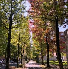 Sesungguhnya, debat tentang 'apakah politik itu?' adalah sesuatu yang sangat pelik karena ia memperlihatkan sebagian ketidakpastian intelektual dan ideologis yang paling dalam di studi akademis dari bidang studi tersebut. Apakah Yang Jadi Pokok Pembahasan Dalam Etika Politik Jelaskan Brainly Co Id