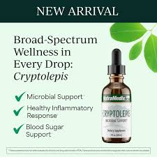 Image result for Cryptolepis products