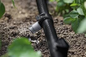 5 Tipps Fur Die Bewasserung Im Gemusegarten Selbermachen Garten Bewasserung Bewasserungssystem