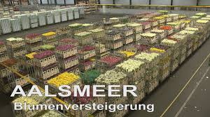 Situated in aalsmeer, this apartment building is 2.7 mi (4.4 km) from popular places to visit in aalsmeer. Aalsmeer Blumenversteigerung Youtube