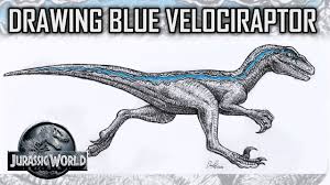 40+ jurassic world raptor coloring pages for printing and coloring. Drawing Skin Details For Blue The Velociraptor From Jurassic World In Fine Liner Marker Time Lapse Youtube