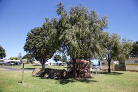 Blocking sun rays will make a huge difference in the heat you feel. 11 Tips To Stay Cool On Your Summer Camping Adventurekingston Caravan Park