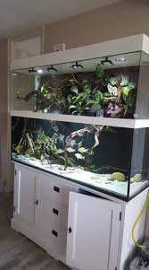 Coral aquaculture, also known as coral farming or coral gardening, is the cultivation of corals for commercial purposes or coral reef restoration. Oscar Vega Osvega Profile Pinterest