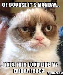Here are the top 65 funny monday memes to help you get started. 30 Best Monday Memes For The Worst Day Of The Week
