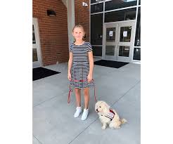 How to train a service dog for autism. Service Dogs At School And The Ada