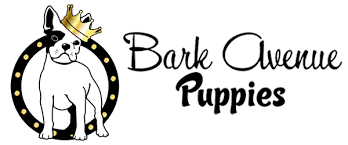 Garry knows the area so well and provides a very personalised service being equally considerate of the buyer and seller. Bark Avenue Puppies Delivering Joy One Puppy At A Time