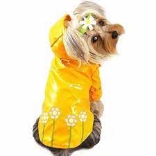 Daisies Dog Raincoat Daisy Dog Dog Raincoat Designer Dog Clothes
