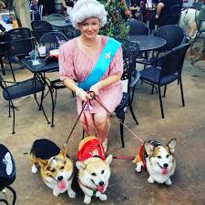 We do this with marketing and advertising partners (who may have their o A Halloween Costume Fit For Royalty Corgi