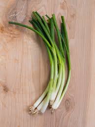 Want to grow spring onions (allium fistulosum)? Local Green Onions Angelos Italian Bakery Market